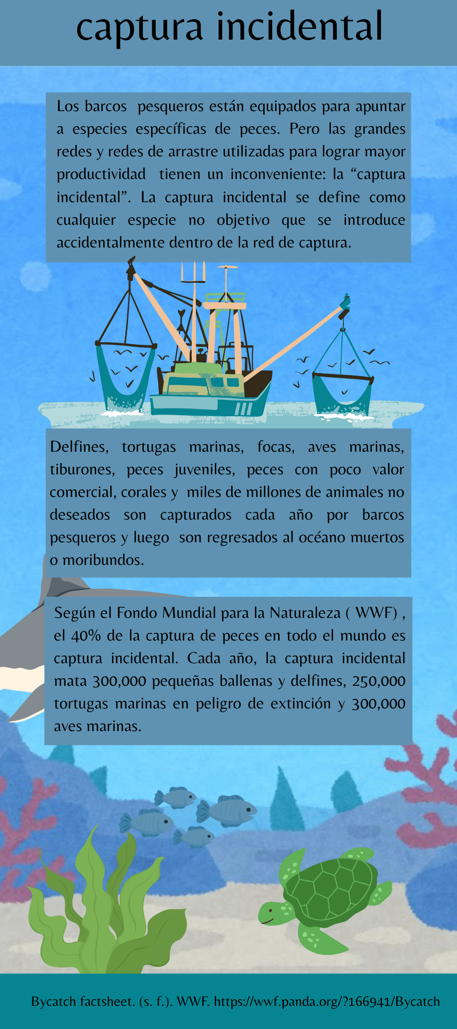 ¿Que es una captura incidental?